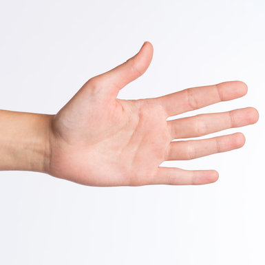 visual_hand